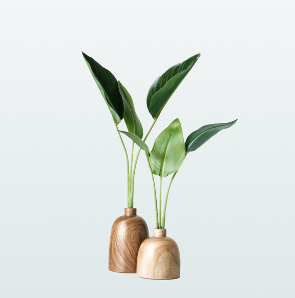 HyperFresh plant on wooden vase